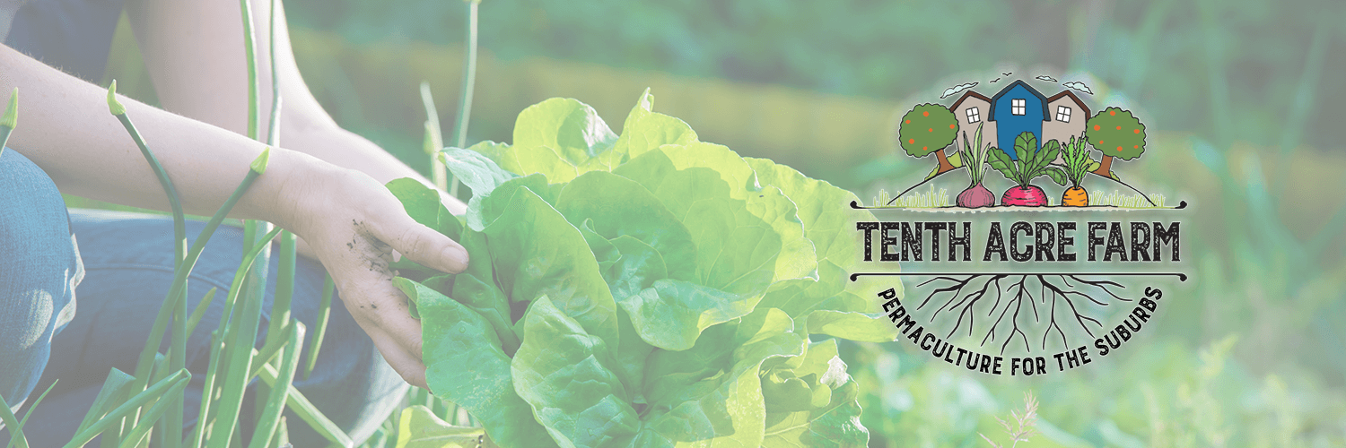 Tenth Acre Farm: Permaculture for the Suburbs banner