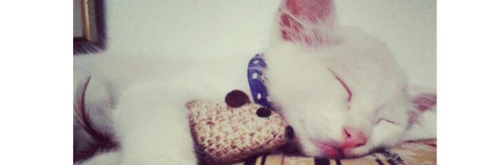 Geraldine2293's profile banner image