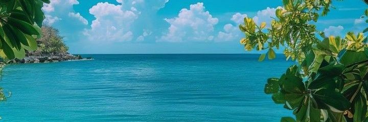 Timothy Grant banner