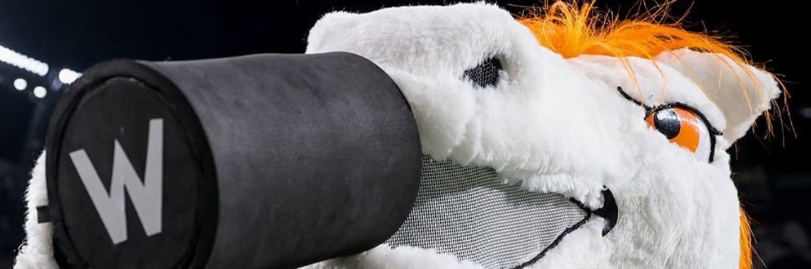 🅱️hoorls banner