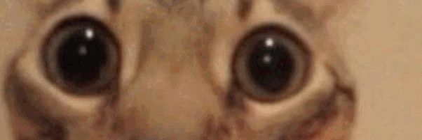 Gloobal banner