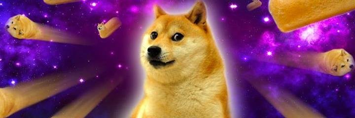 DogeTheDog's profile banner image