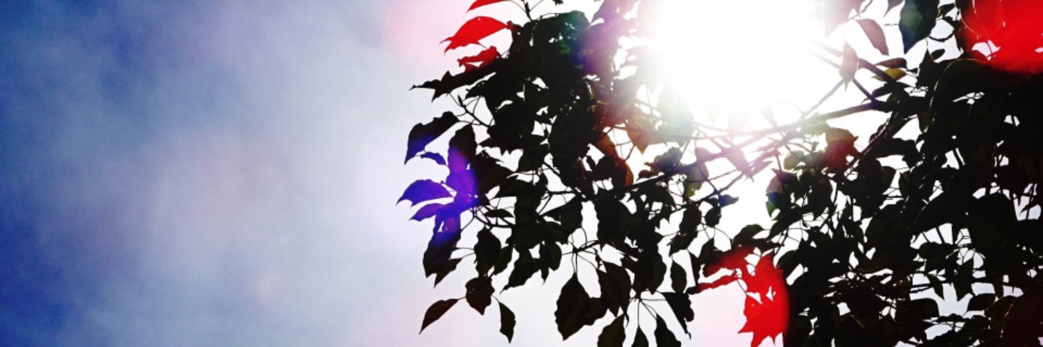 33_uw's profile banner image