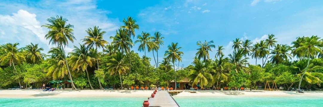 Twinkle2k3 ⭐ banner