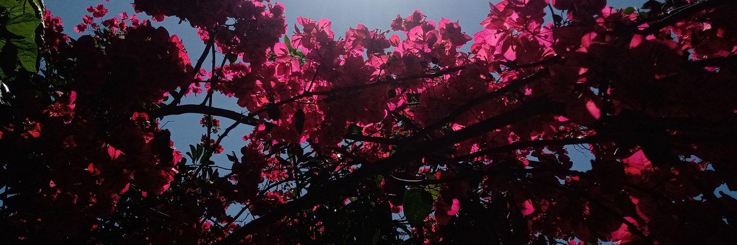 rio_cioo's profile banner image