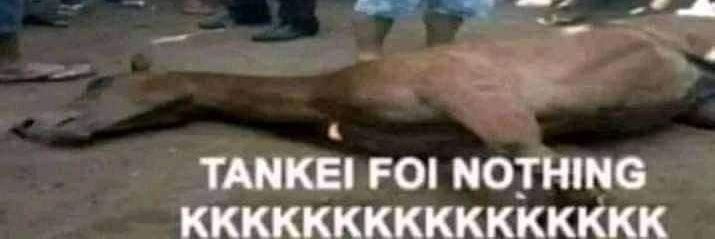 Júlio César banner