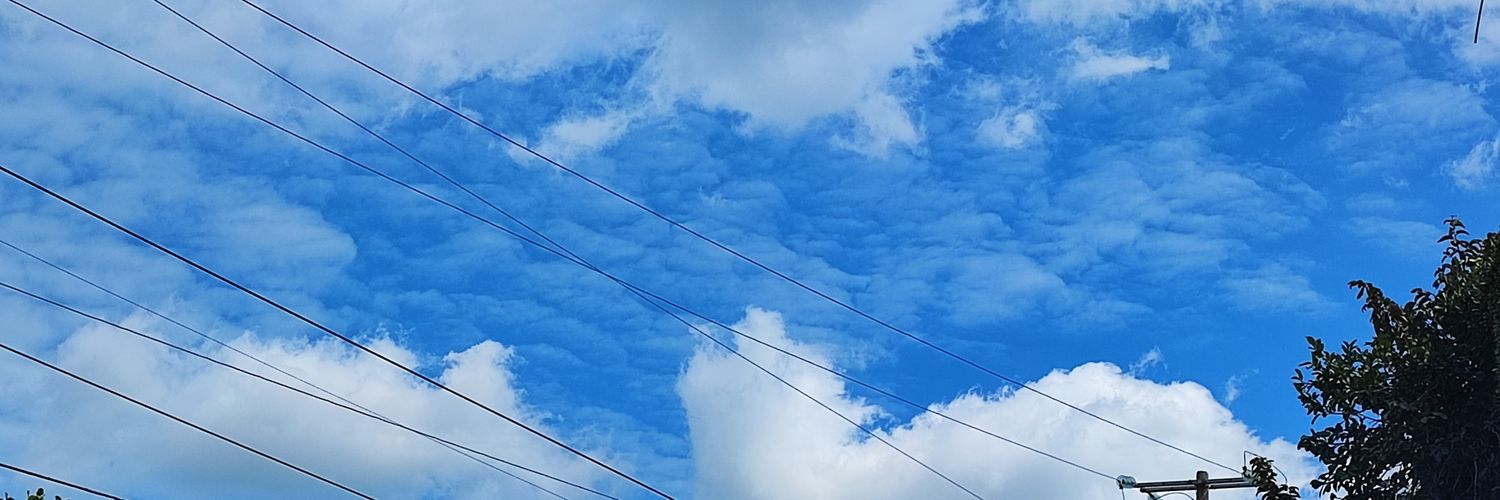 Lluvia Mendez banner