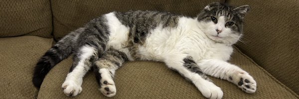 CodeML_ Profile Banner