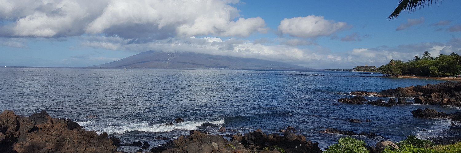 savela's profile banner image