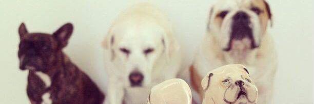 VinyFreire's profile banner image