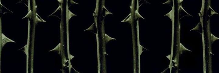 sixbatss's profile banner image