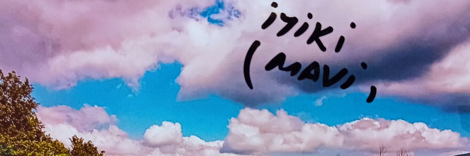 mavivarve's profile banner image