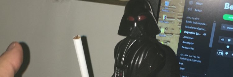 pintvitter's profile banner image