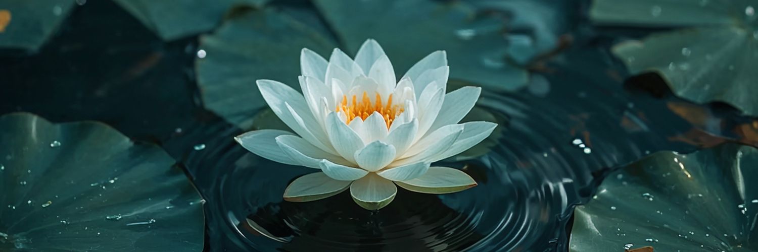 Yrishabh99's profile banner image