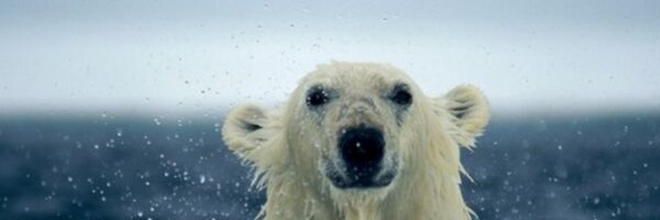 A7nold0 Profile Banner