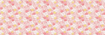 pittsuz1's profile banner image