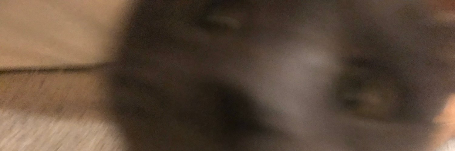 UmbrellasOrElse's profile banner image
