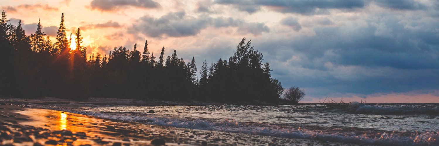 Wes Townsend Kitten banner