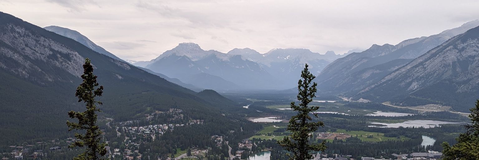 Jessica MacLean banner