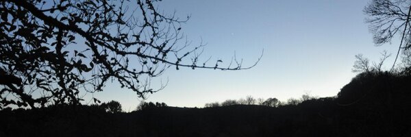 DocMurphy Profile Banner