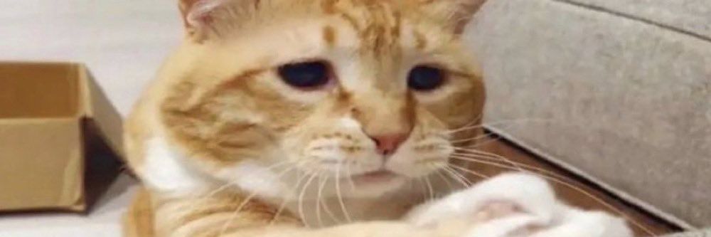 Dylan_Jay96's profile banner image
