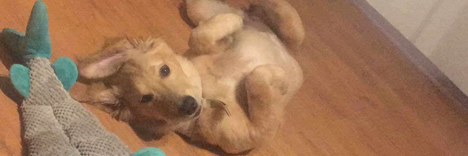 ItsGeorgieKidd's profile banner image