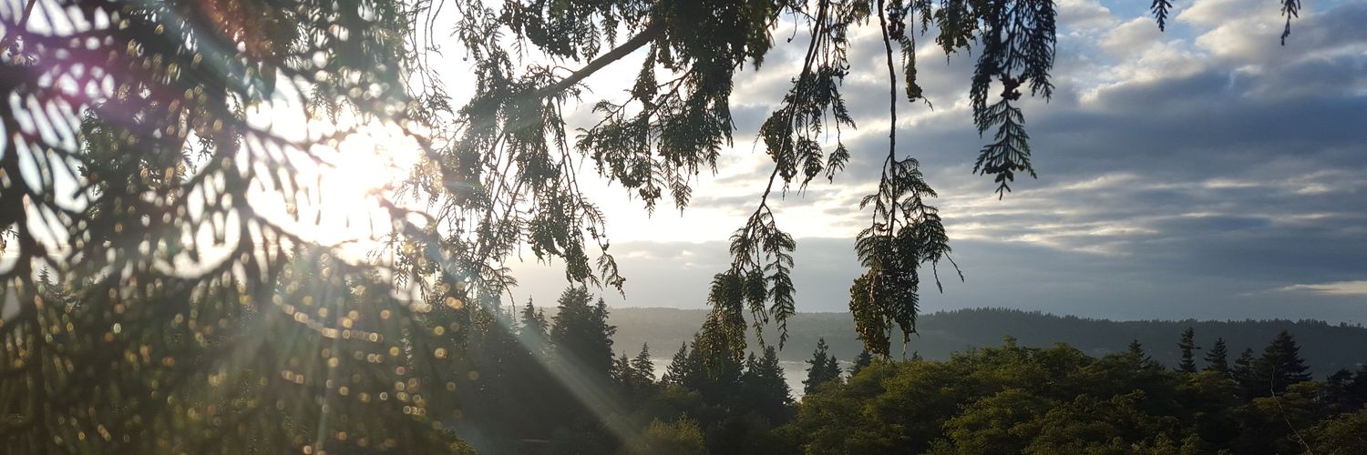 MelyssaMSmith's profile banner image