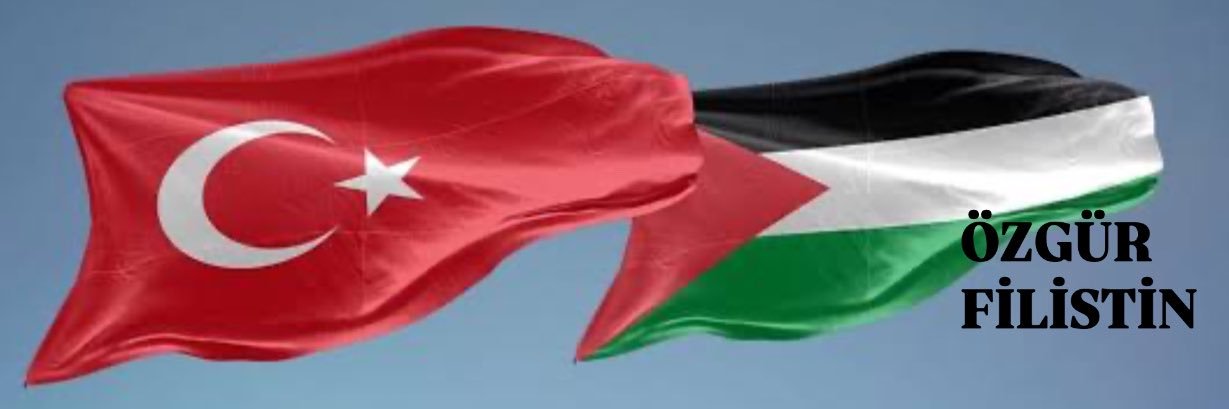 Melisa Melek 🇹🇷🇵🇸's banner