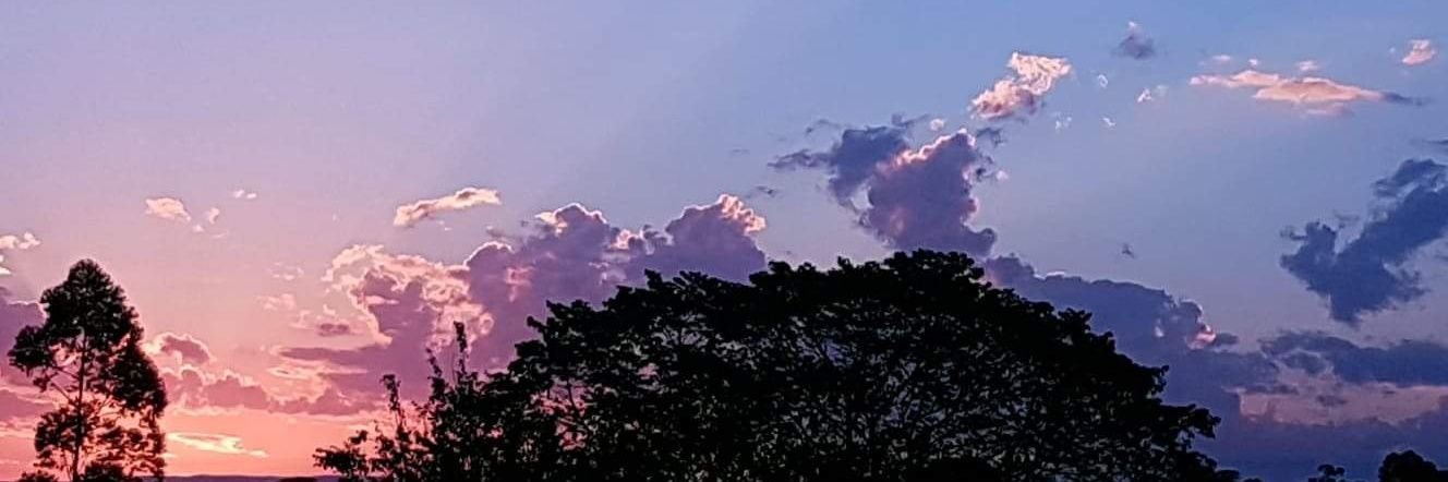 totstonha's profile banner image