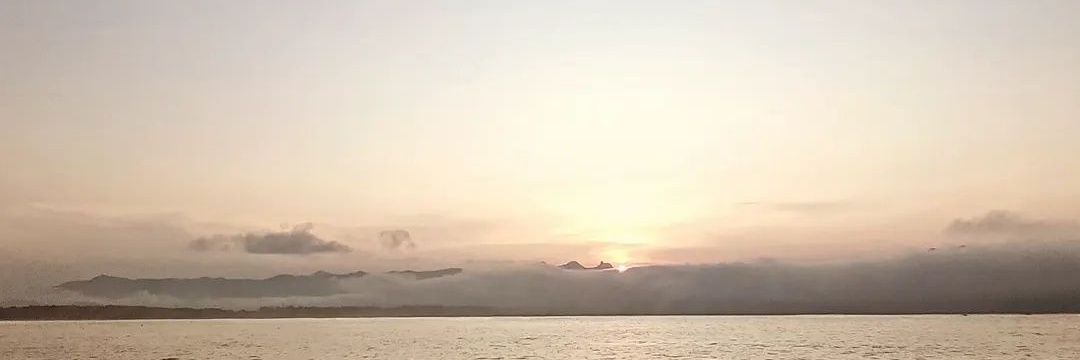 donjilo (🍊,💊) banner