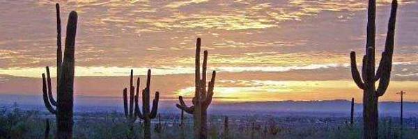 SherleeD Profile Banner