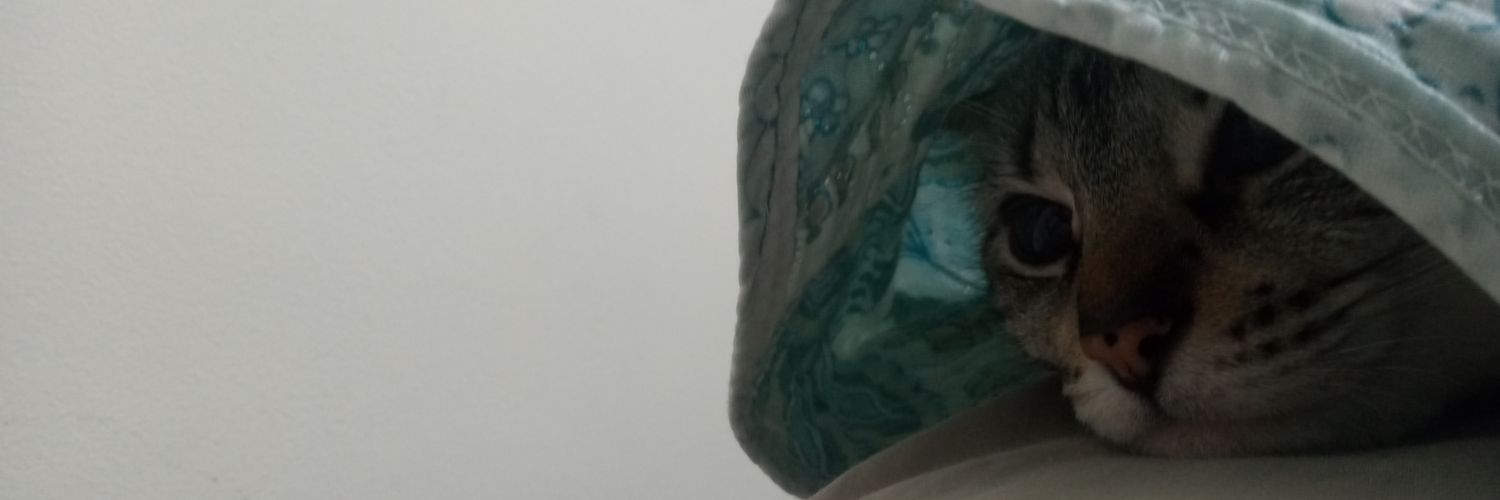 vemarcello's profile banner image