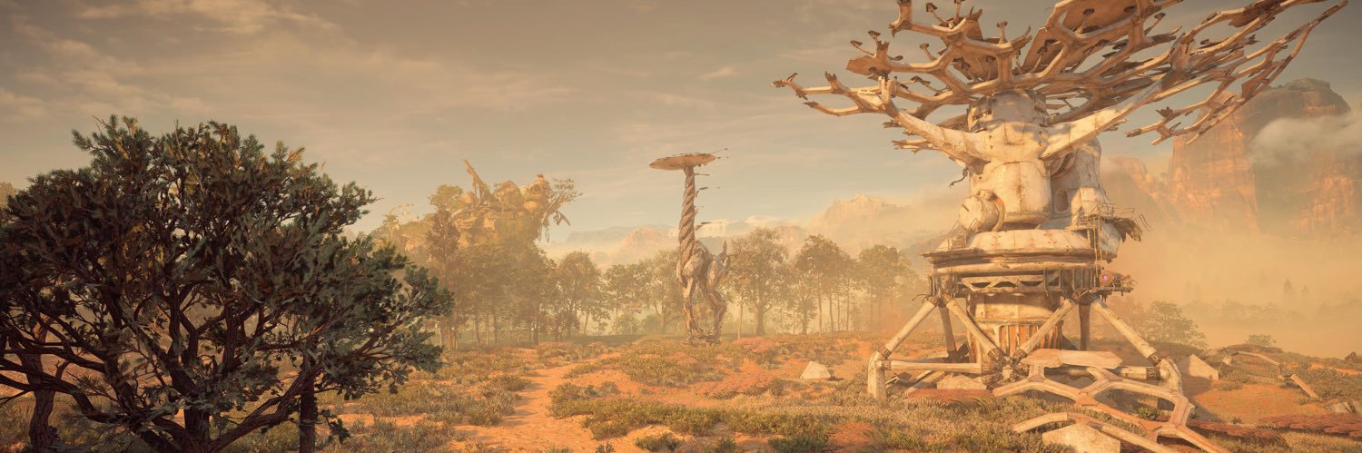 N_Tau's profile banner image