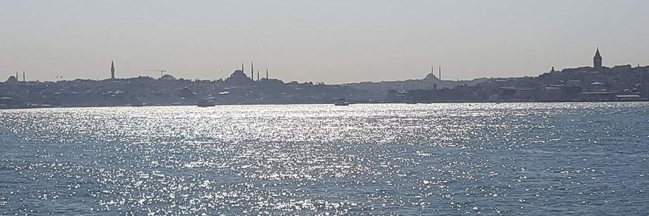 refika_tunc's profile banner image