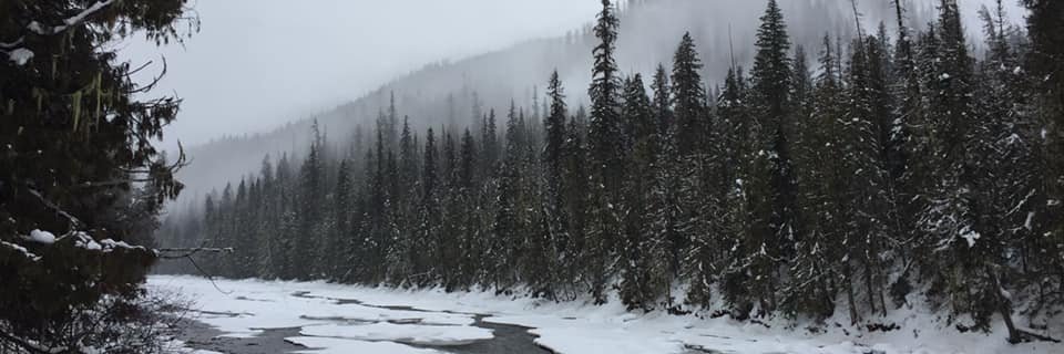 sugartoes's profile banner image