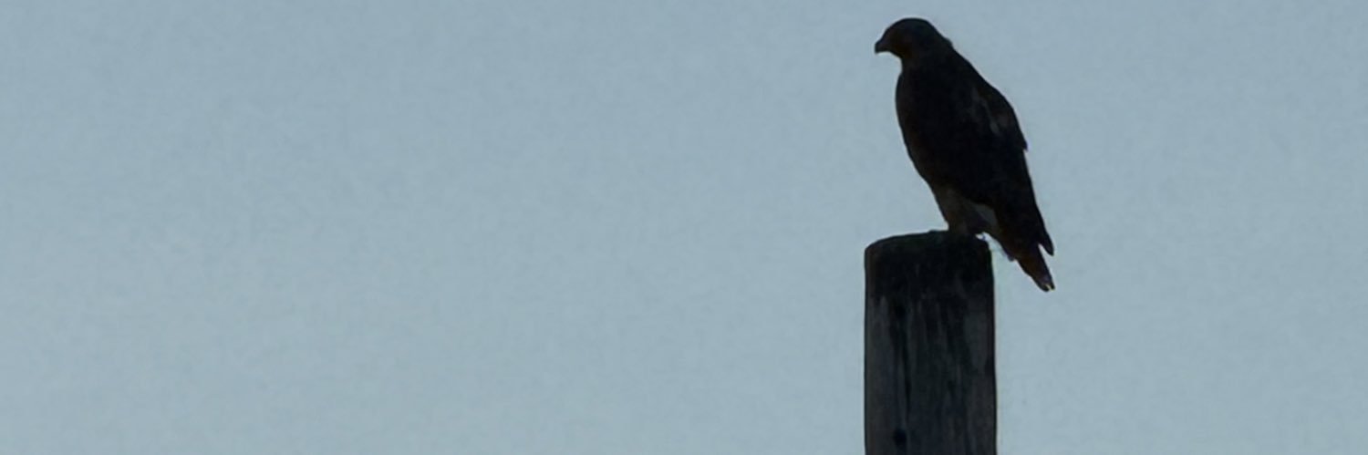 middleman7361's profile banner image
