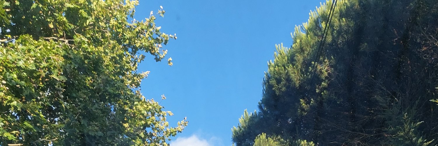 isafabx's profile banner image