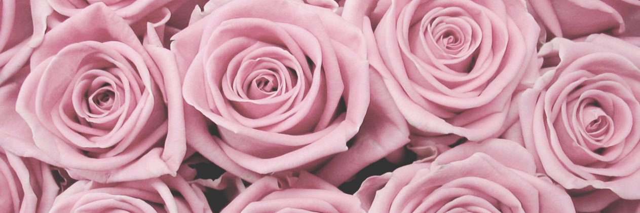 carmeneezy's profile banner image