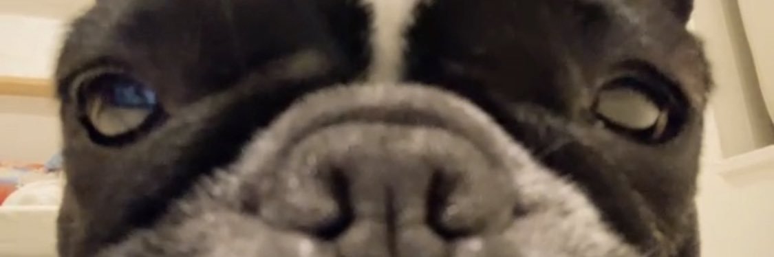 kghrnd's profile banner image