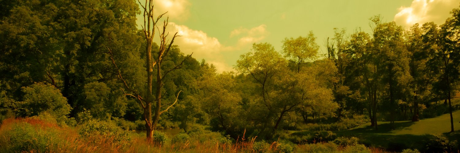 kevinevans's profile banner image