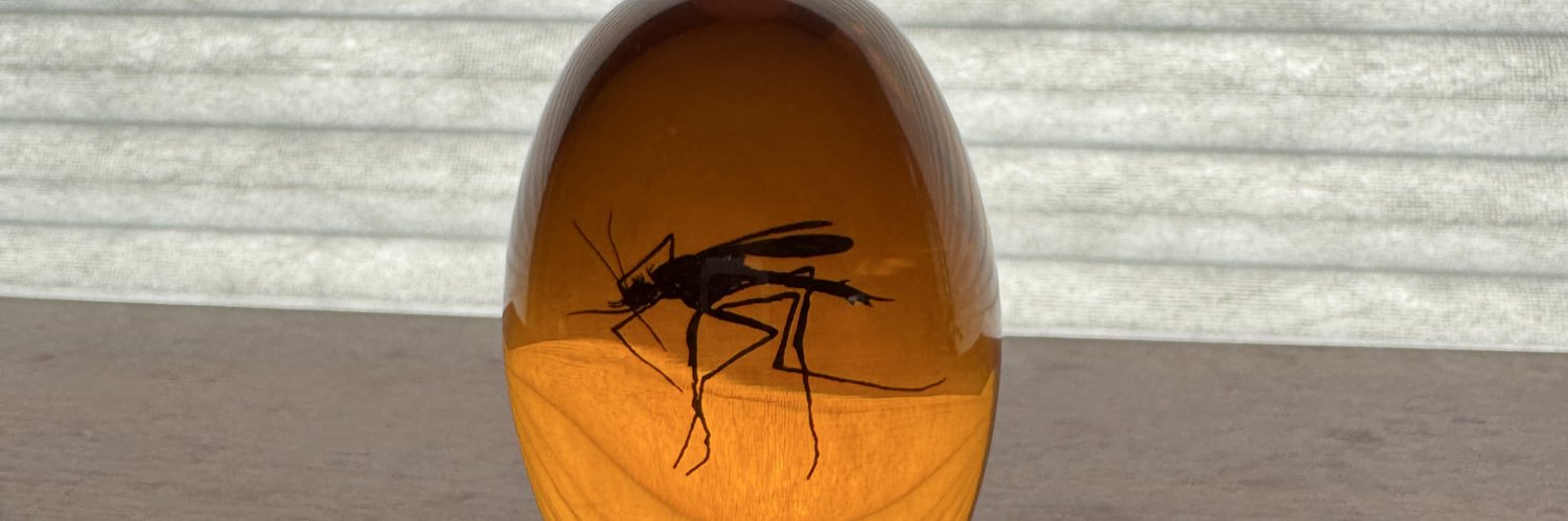 HobbitFeet 🐻 banner