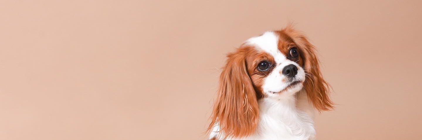 tteooiyry's profile banner image