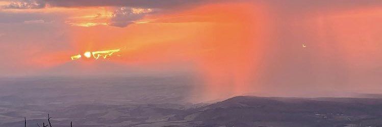 lfr12_'s profile banner image