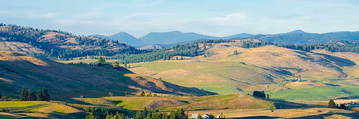 Trace Beverage banner