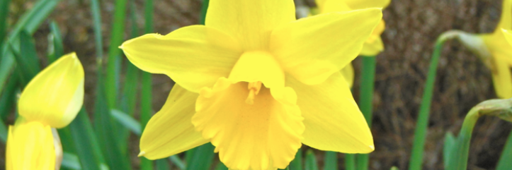 NBranfordPatch's profile banner image