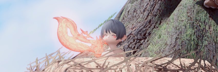 ﾕﾙｷﾉﾋﾟ banner