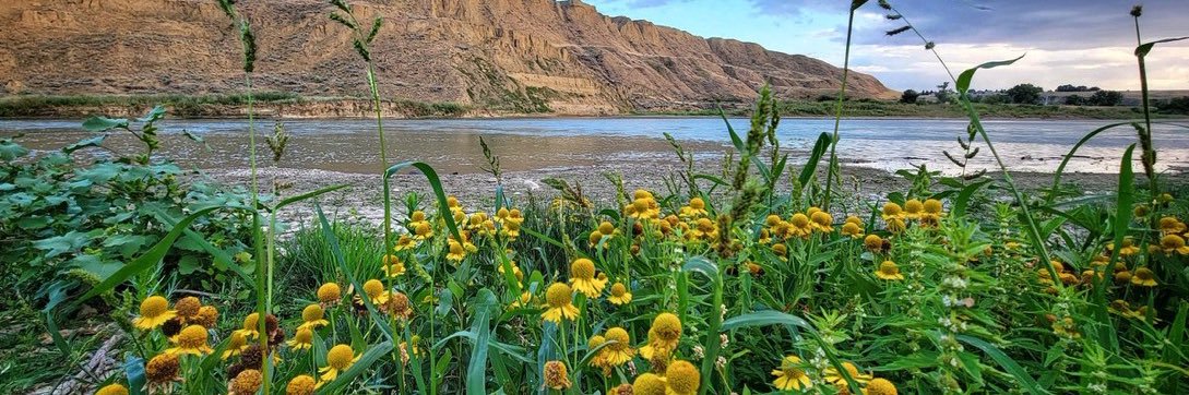 Hort in the Hat banner