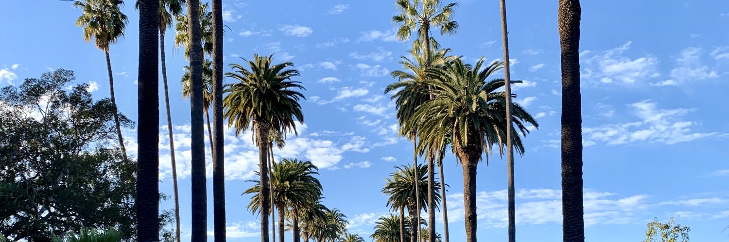 Benjamin Rabier ⭐️⭐️ banner