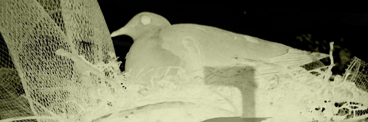atypicalgeneric's profile banner image
