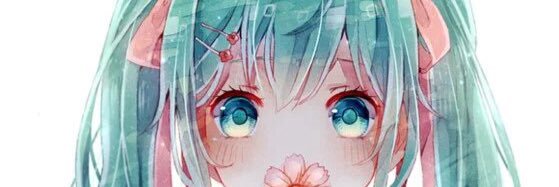 xle0117's profile banner image
